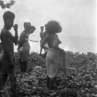 Dobodura Natives 2