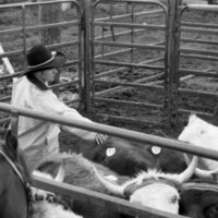1984 Rodeo Club, Cowboys 04