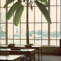 1975 Walter M. Pierce Library, Interior 01