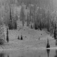 1987 Field Trip, Forest 20