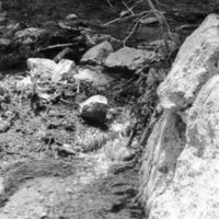 1980 Oregon, River 04