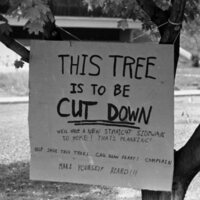 1974 Campus, Save a Tree 04