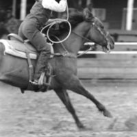 1991 Eastern Rodeo, Roping 03