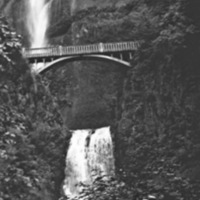 Reuter Group-XX, Multnomah 1