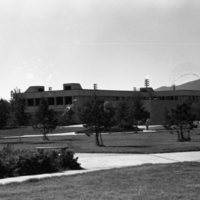 1982 Zabel Hall 11