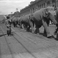 La Grande Parade, Circus 3