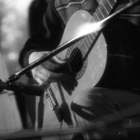 1980 Concert, Jose Troncoso 12