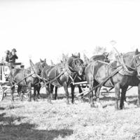 Union Stock Show, 1941 7