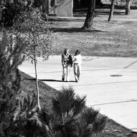 1978 Students, Outdoor Scenes 21