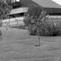 1986 Hoke Hall 02