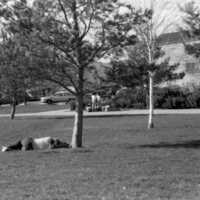1986 Students, Outdoors in March 42