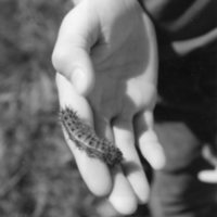 1988 Science Camp, Outdoors 6