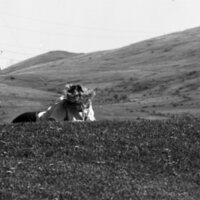 1985 Students, May Outdoor Candid Shots 16