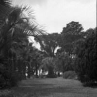 St. Augustine 19