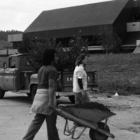 1981 Campus Tree Plantings 11