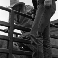1981 Rodeo, Cowboys in Chute 02
