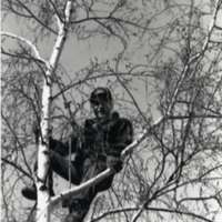 1990 Employee, Tree Trimming 1-1