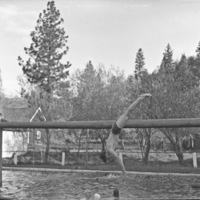 Cove Pool, Diver 3