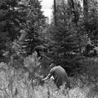 1982 Field Trip, Outdoors 03