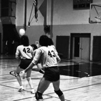 1981 Volleyball Action 09