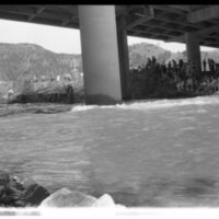 1989 Raft Race, Fans 04