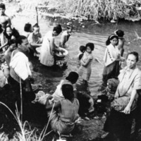 Leyte Locals do Laundry 6
