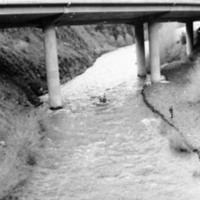 1983-84 Raft Race 13