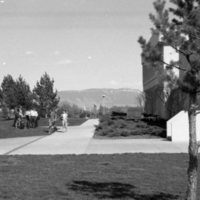 1981 Campus from Zabel Hall 02