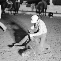 1976 Rodeo, Calf Roping 03