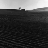 1980 Agriculture, Furrowed Field 03