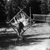 1981 Wallowa Mt. Field Station 34