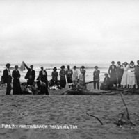 North Beach, Campfire