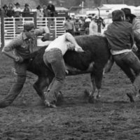 1982 EOSC Rodeo, Cow Milking 01