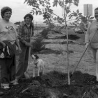 1985 Soroptimist Tree Plantings 06