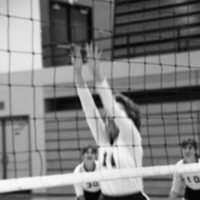 1980 Women's Volleyball Action 28