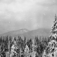 1981 Oregon, Blue Mountains 07