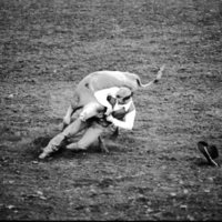 1978 Rodeo, Bulldogging 01