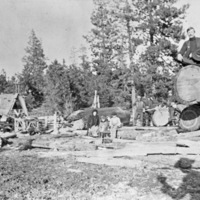 Elgin, McIntyre Sawmill 2