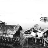 Biak Native Homes 6