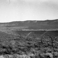 1982 Grande Ronde Valley, Farms 11