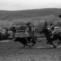 1979 Rodeo, Roping Pairs 12