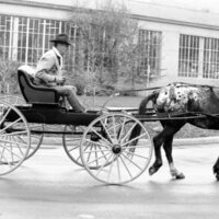 1988 Employee, Jack Johnson Carriage Ride 14