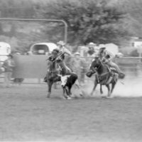 1979 Rodeo, Bulldogging 01