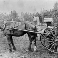 Summerville, Mail Carrier