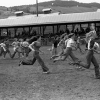 1981 Rodeo, Calf Dressing 01