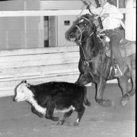 1991 Rodeo, Roping Practice 14