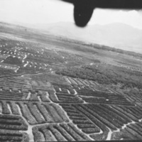 Farming fields and buildings, with the perspective from above in the back of an aircraft.