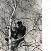 1990 Employee, Tree Trimming 1-2