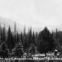 Oregon, Scenery 1