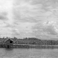 Binmaley, Shrimp Trap 1